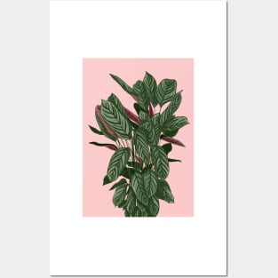 Modern House plant in pink 5, Abstract Plant Art Posters and Art